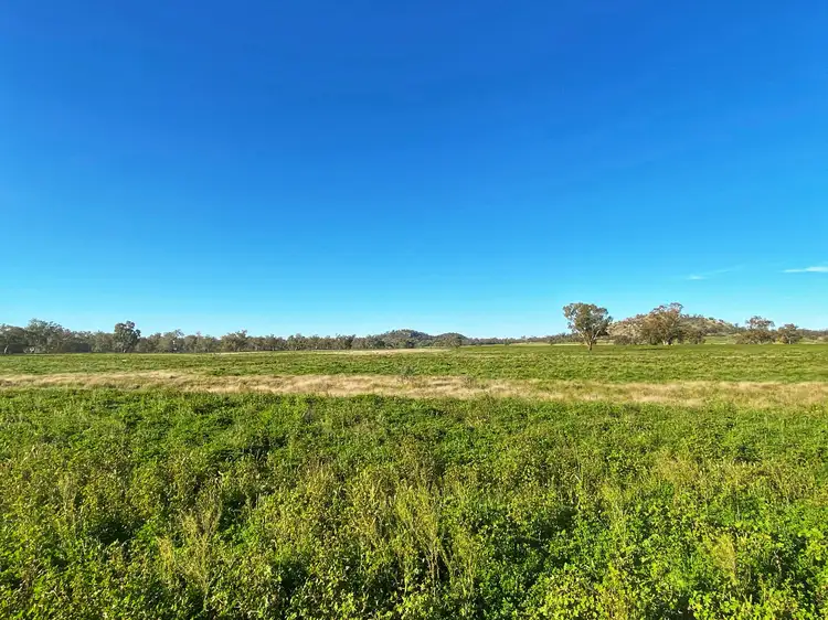 Fourth view of Homely rural property listing, Killara 6921 Lachlan Valley Way, Condobolin NSW 2877