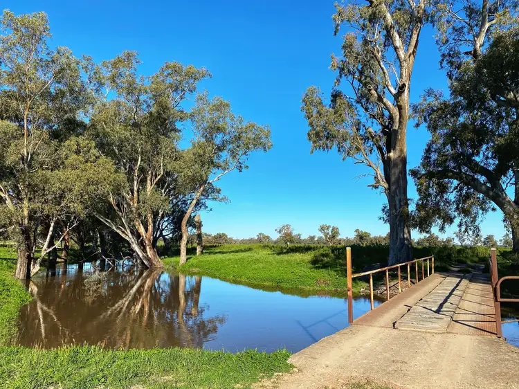 Fifth view of Homely rural property listing, Killara 6921 Lachlan Valley Way, Condobolin NSW 2877