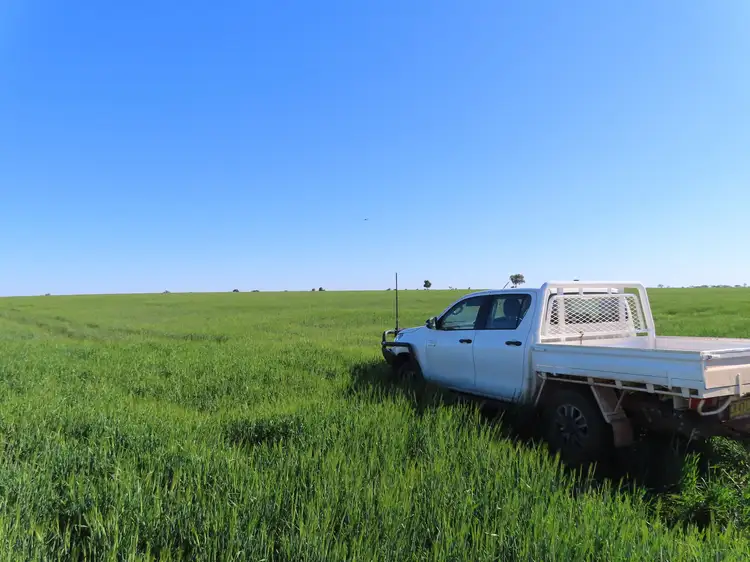 Shannonvale 600 Shannonvale Road, Tottenham NSW 2873