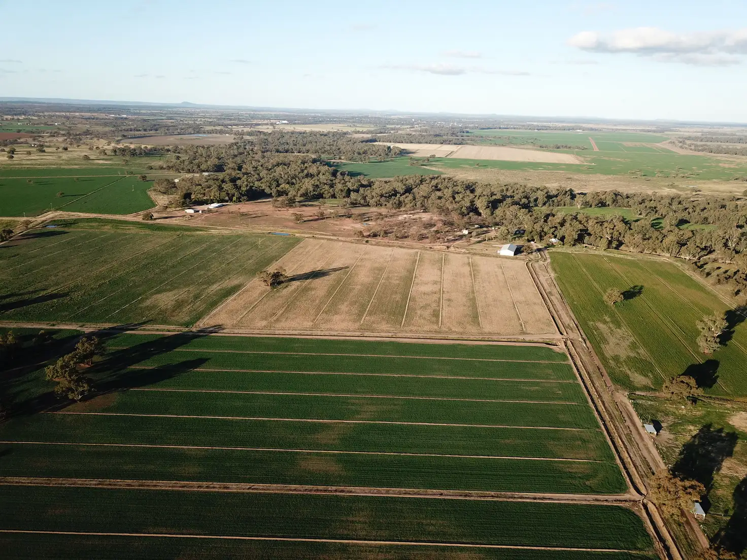 Main view of Homely rural property listing, Nagiruoh 639 Kiacatoo Road, Condobolin NSW 2877