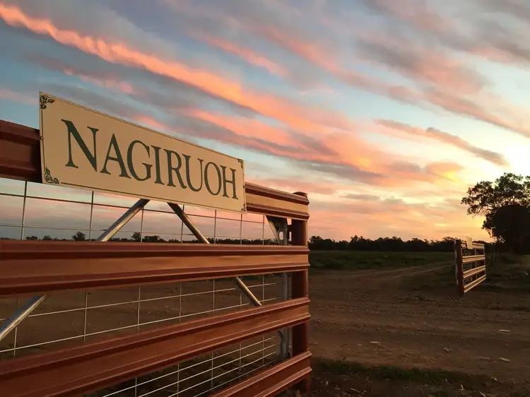Second view of Homely rural property listing, Nagiruoh 639 Kiacatoo Road, Condobolin NSW 2877