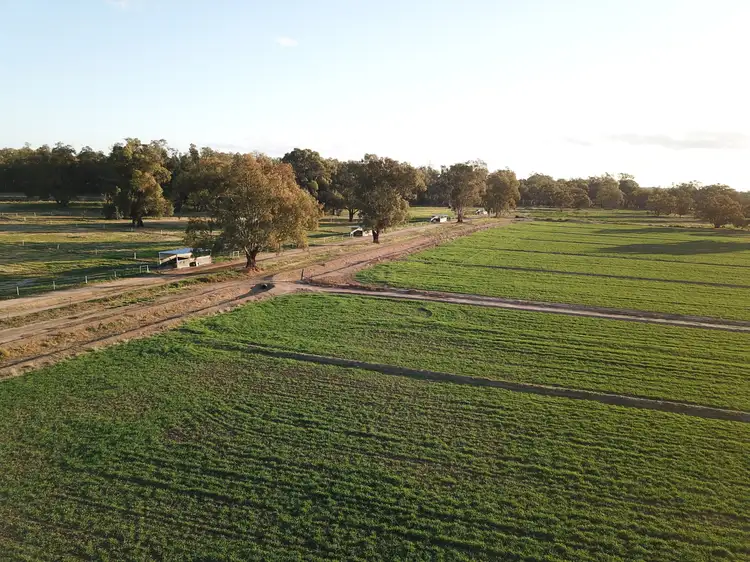Fourth view of Homely rural property listing, Nagiruoh 639 Kiacatoo Road, Condobolin NSW 2877