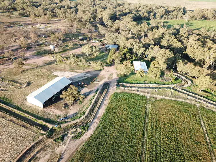 Fifth view of Homely rural property listing, Nagiruoh 639 Kiacatoo Road, Condobolin NSW 2877