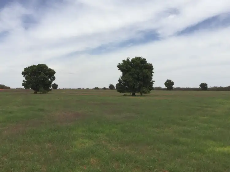 Main view of Homely rural property listing, "Boolaroo" and "Warra Warra" Palesthan Road, Condobolin NSW 2877
