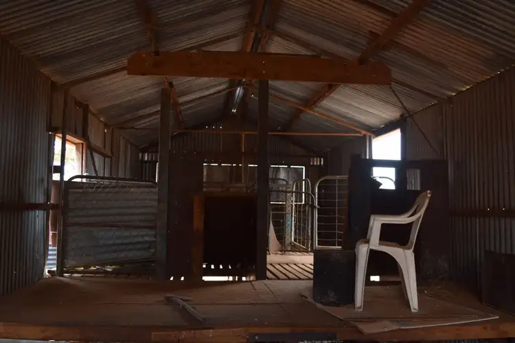 Seventh view of Homely rural property listing, "Boolaroo" and "Warra Warra" Palesthan Road, Condobolin NSW 2877