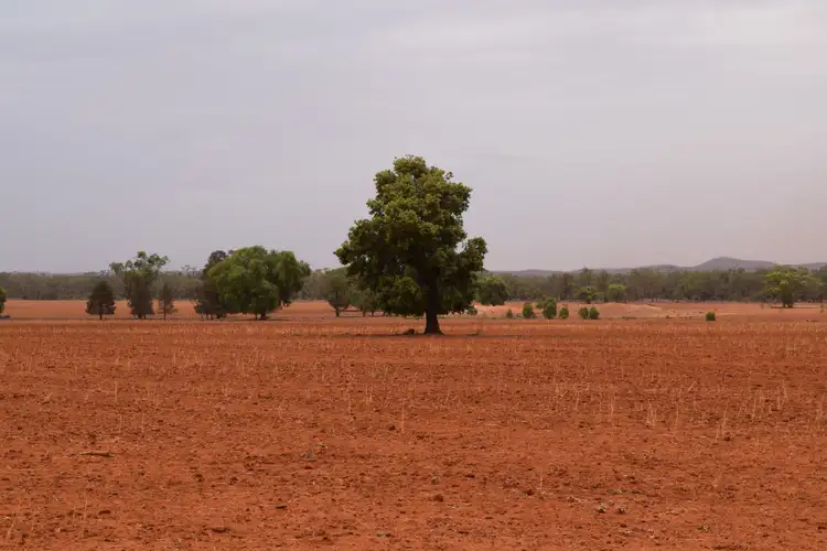 Second view of Homely rural property listing, "Boolaroo" and "Warra Warra" Palesthan Road, Condobolin NSW 2877