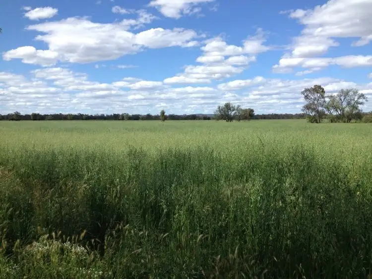 Third view of Homely rural property listing, "Boolaroo" and "Warra Warra" Palesthan Road, Condobolin NSW 2877