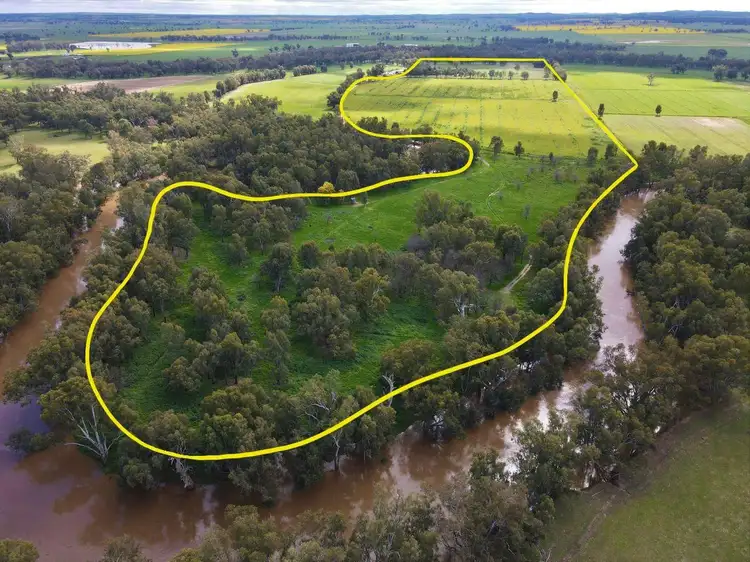 Second view of Homely rural property listing, Bullock Paddock The Escort Way, Forbes NSW 2871