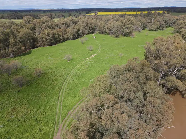 Fourth view of Homely rural property listing, Bullock Paddock The Escort Way, Forbes NSW 2871