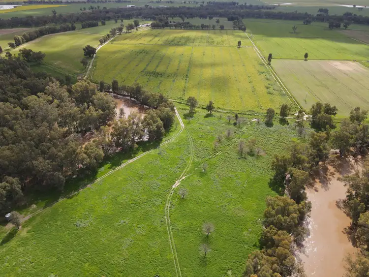 Sixth view of Homely rural property listing, Bullock Paddock  The Escort Way, Forbes NSW 2871