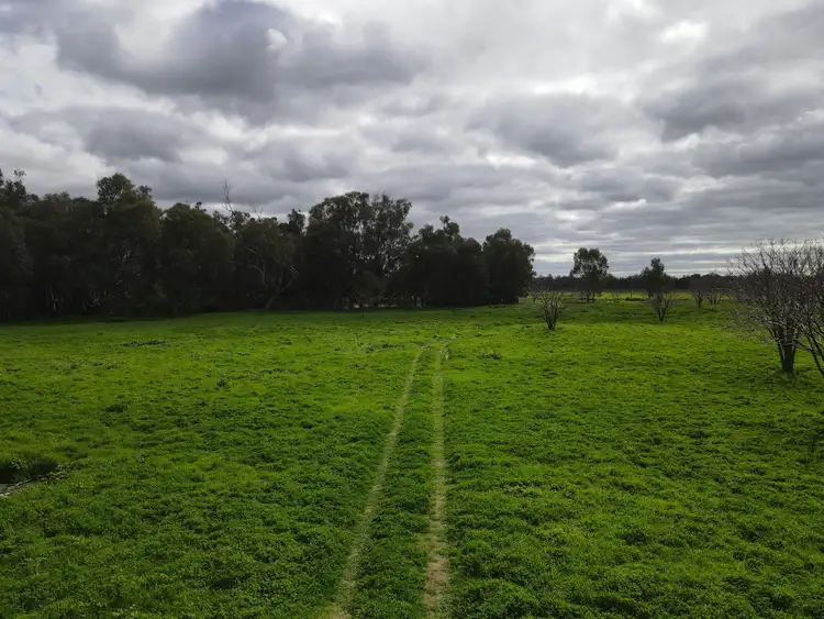 Seventh view of Homely rural property listing, Bullock Paddock  The Escort Way, Forbes NSW 2871