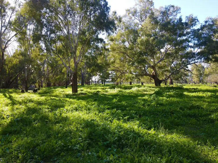 Third view of Homely rural property listing, Ulmarra, 10419 The Escort Way, Forbes NSW 2871