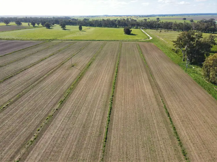 Fourth view of Homely rural property listing, Ulmarra, 10419 The Escort Way, Forbes NSW 2871