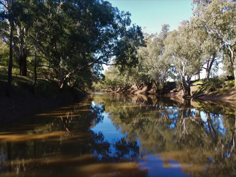 Fifth view of Homely rural property listing, Ulmarra, 10419 The Escort Way, Forbes NSW 2871