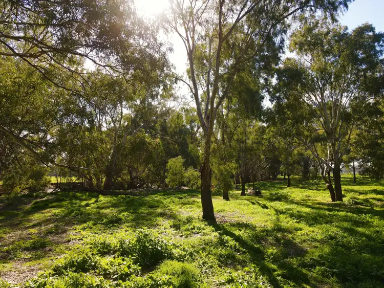 Sixth view of Homely rural property listing, Ulmarra, 10419 The Escort Way, Forbes NSW 2871