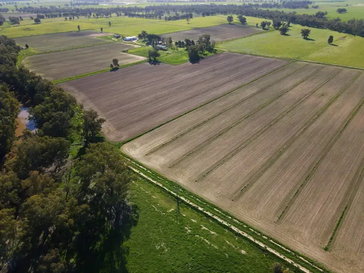 Seventh view of Homely rural property listing, Ulmarra, 10419 The Escort Way, Forbes NSW 2871