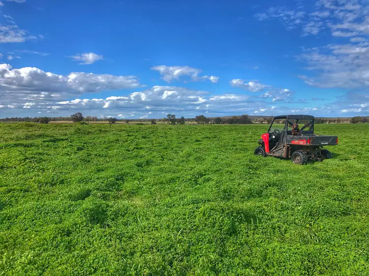 Main view of Homely rural property listing, 'Moira' 656 Crowley Road, Trundle NSW 2875