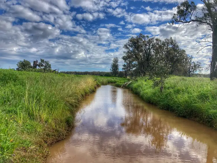 Second view of Homely rural property listing, 'Moira' 656 Crowley Road, Trundle NSW 2875