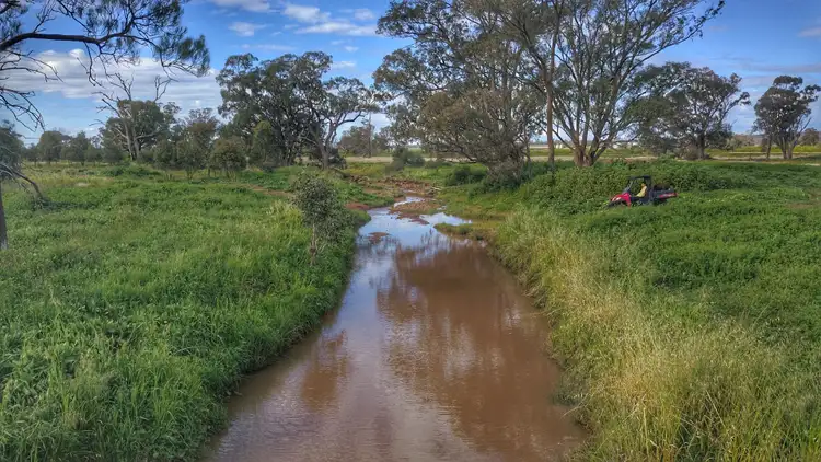 Fourth view of Homely rural property listing, 'Moira' 656 Crowley Road, Trundle NSW 2875