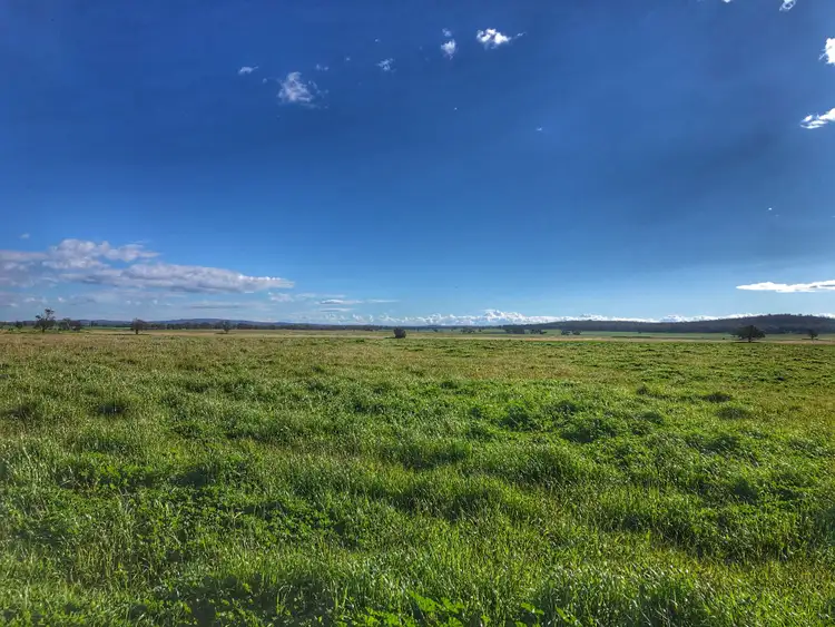 Sixth view of Homely rural property listing, 'Moira' 656 Crowley Road, Trundle NSW 2875