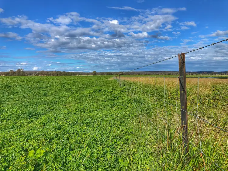 Seventh view of Homely rural property listing, 'Moira' 656 Crowley Road, Trundle NSW 2875