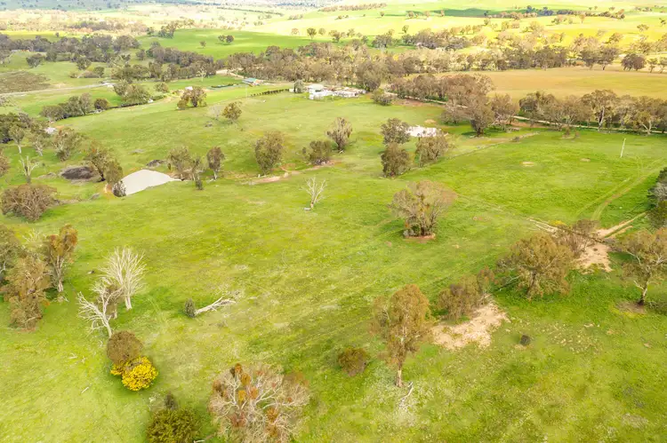 115 Cattle Street, Binalong NSW 2584