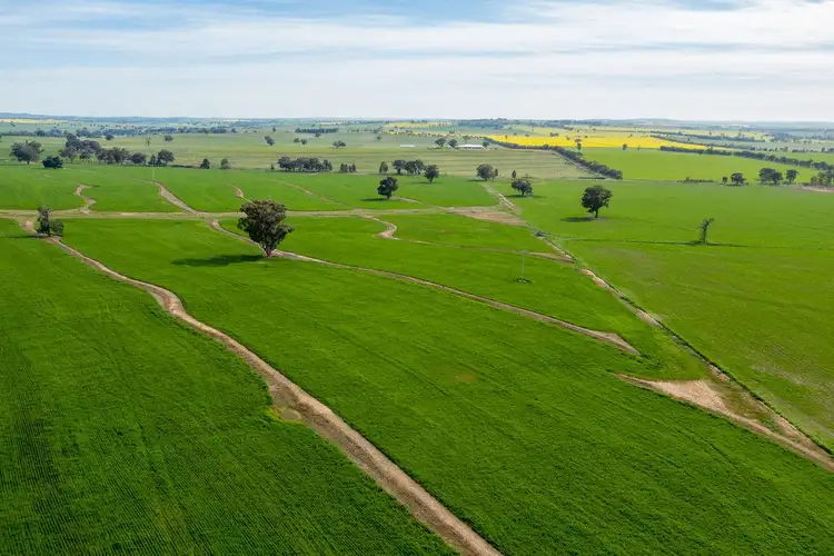 Fifth view of Homely rural property listing, 945 The Gap Road, Wagga Wagga NSW 2650