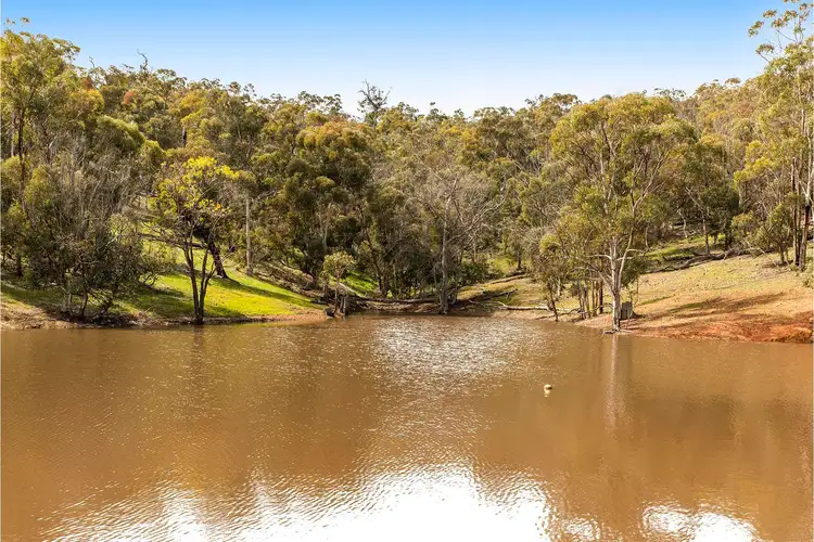 Fifth view of Homely house listing, 179 Chittering Valley Road, Lower Chittering WA 6084
