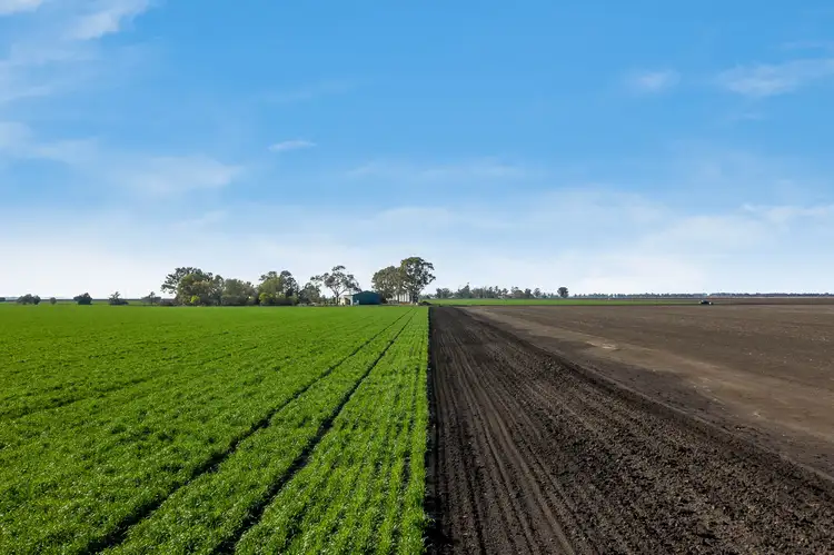 Sixth view of Homely rural property listing, 316 Fysh Road, Pampas QLD 4352