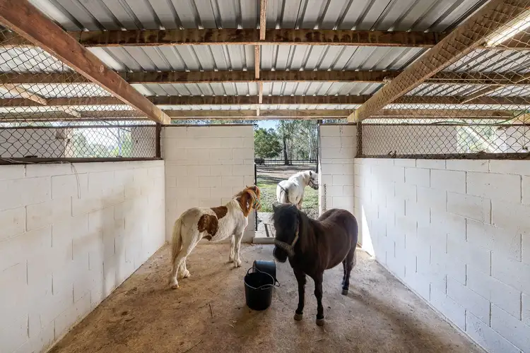 Seventh view of Homely rural property listing, 83 Fountain Road, Burpengary East QLD 4505