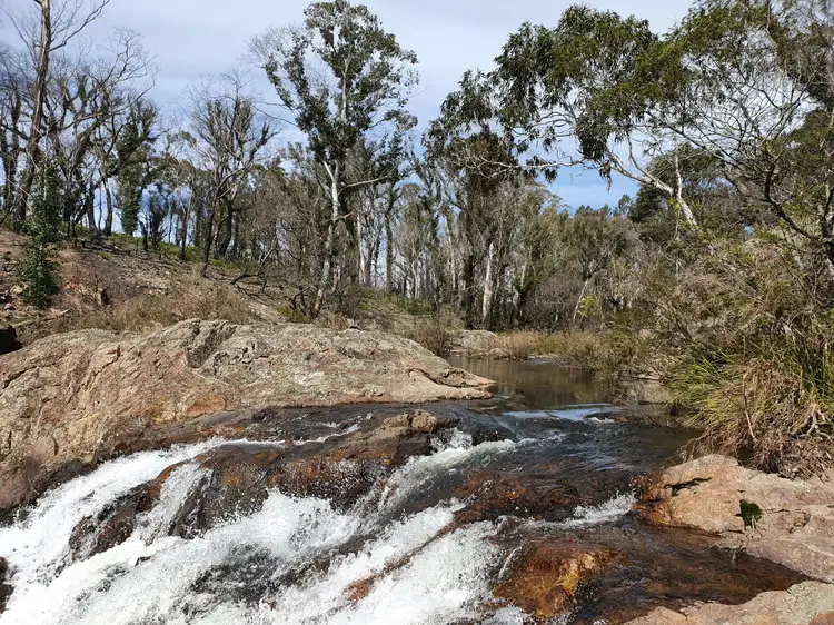 Main view of Homely rural property listing, 52 McRaes Road, Monga via, Braidwood NSW 2622