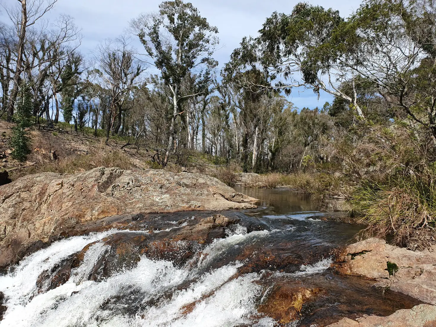 Main view of Homely rural property listing, 52 McRaes Road, Monga via, Braidwood NSW 2622