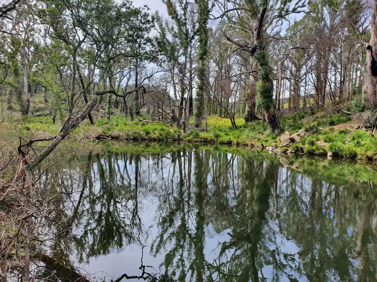 Third view of Homely rural property listing, 52 McRaes Road, Monga via, Braidwood NSW 2622