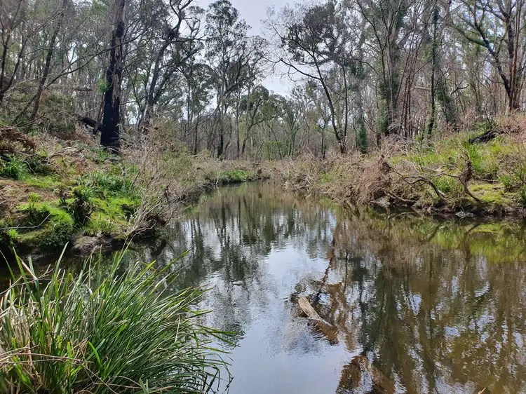 Sixth view of Homely rural property listing, 52 McRaes Road, Monga via, Braidwood NSW 2622