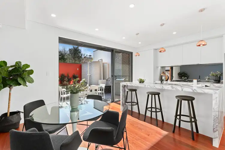 41B Roberts Street, St Peters NSW 2044