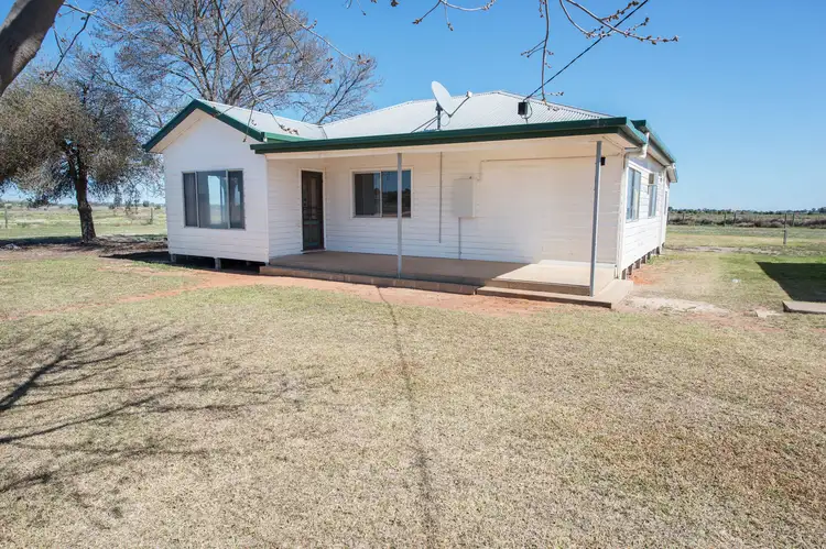 Main view of Homely rural property listing, 487 Tyntynder Road, Tyntynder VIC 3586