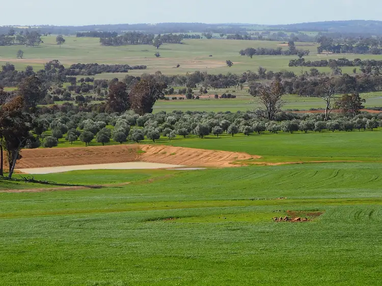 Tarwilli Collie-Changerup Road, Kojonup WA 6395