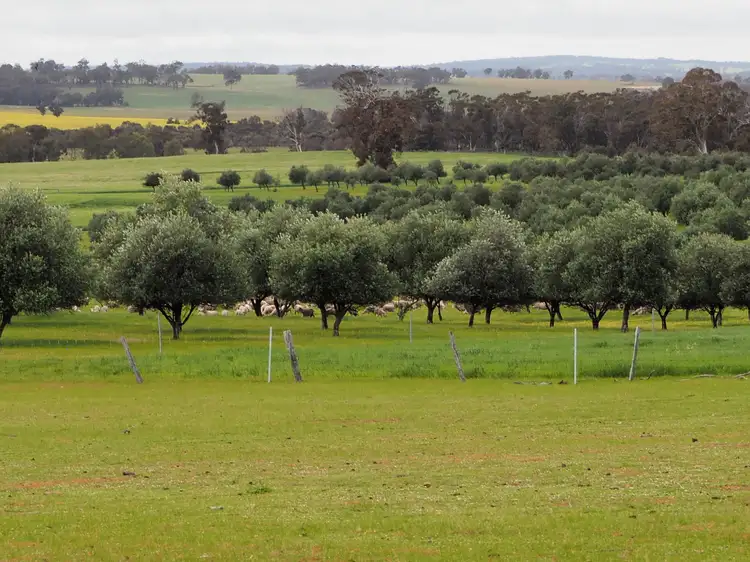 Second view of Homely rural property listing, Tarwilli Collie-Changerup Road, Kojonup WA 6395