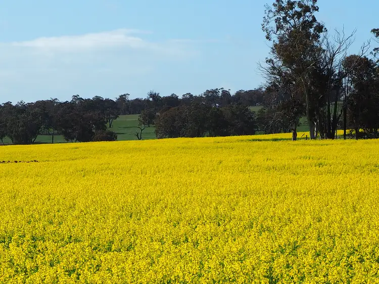 Third view of Homely rural property listing, Tarwilli Collie-Changerup Road, Kojonup WA 6395