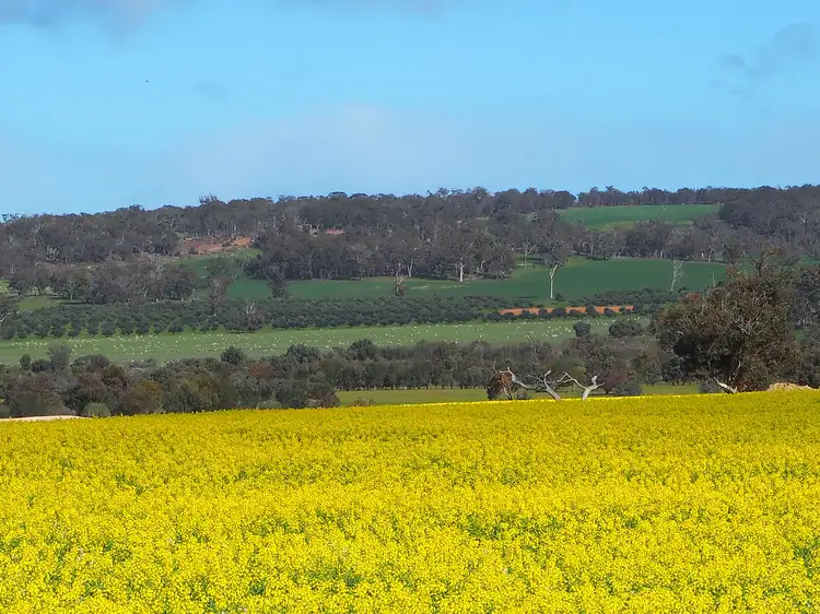 Fourth view of Homely rural property listing, Tarwilli Collie-Changerup Road, Kojonup WA 6395