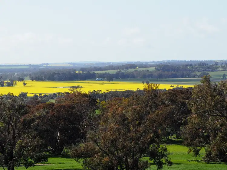 Sixth view of Homely rural property listing, Tarwilli Collie-Changerup Road, Kojonup WA 6395