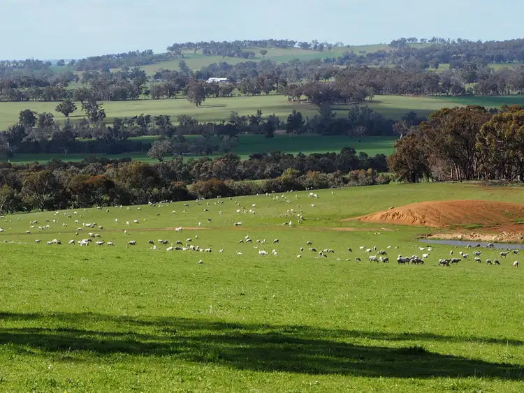 Seventh view of Homely rural property listing, Tarwilli Collie-Changerup Road, Kojonup WA 6395