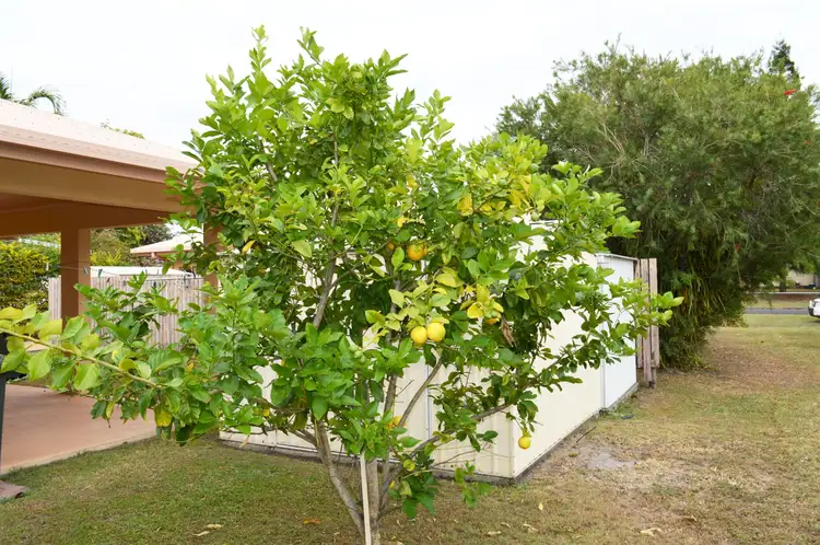 Fifth view of Homely block of units listing, 12 McNamara Street, Wongaling Beach QLD 4852