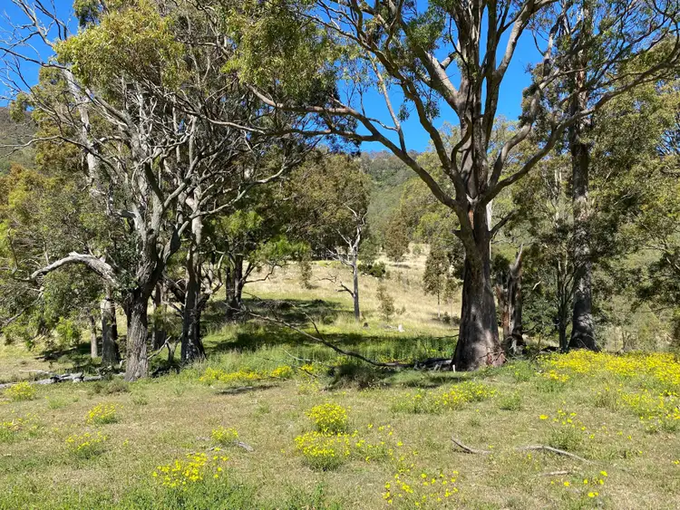 Seventh view of Homely rural property listing, Lot 2 Carrowbrook Road, Singleton NSW 2330