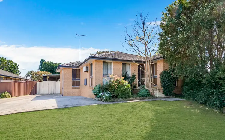19 Pickett Avenue, Minto NSW 2566