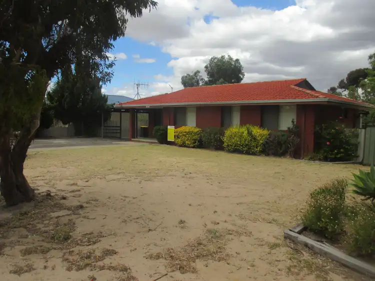 Seventh view of Homely house listing, 5 Hakea Place, Katanning WA 6317