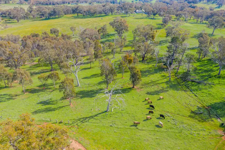 Fifth view of Homely land listing, Lot 2 1991 Burley Griffin Way, Binalong NSW 2584