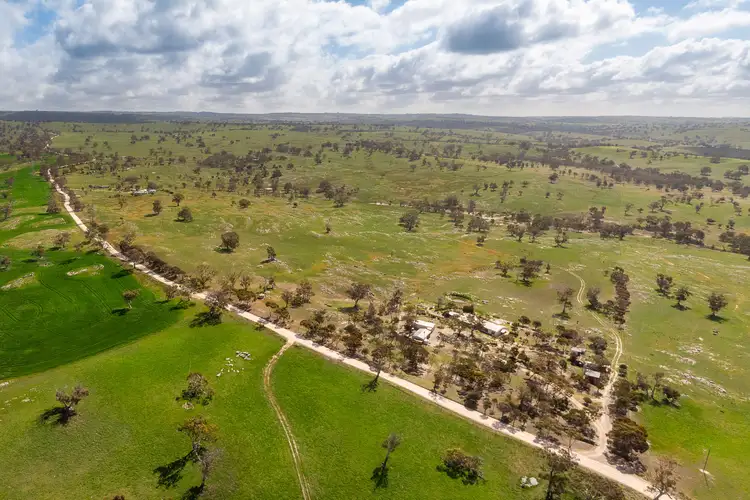 Fifth view of Homely rural property listing, 295 Pebbly Range Road, Tungkillo SA 5236
