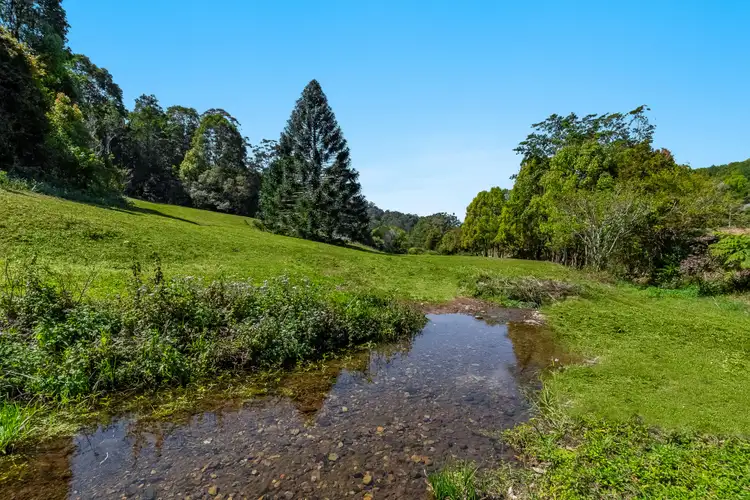 Third view of Homely rural property listing, 558 Middle Pocket Road, Middle Pocket NSW 2483