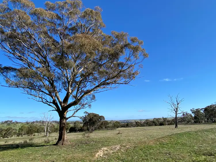 Second view of Homely rural property listing, Lot 121, 1488 Mutton Falls Road, O'connell NSW 2795